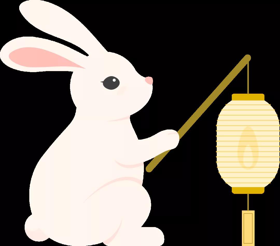 1 1.jpg?v=1762323773942