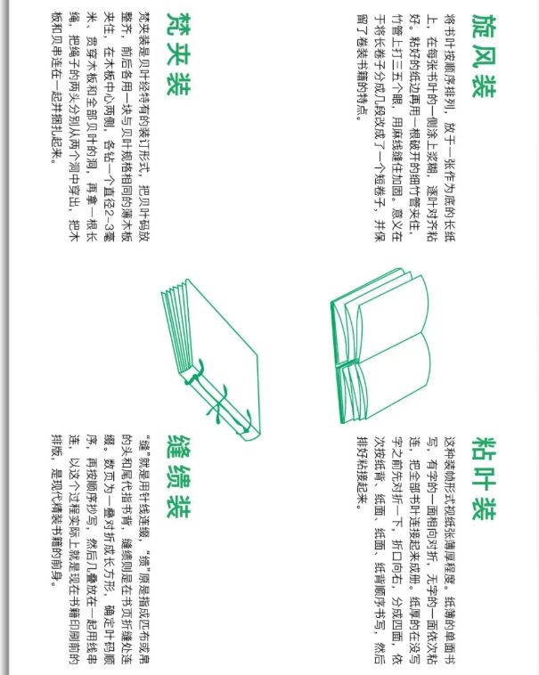 image.png?v=1757830975631