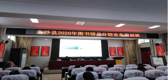 image image.png?v=1763901910834