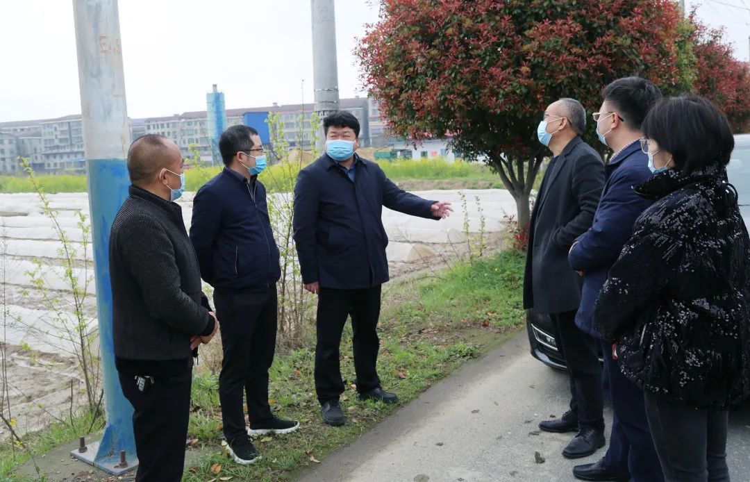 66 66.jpg?v=1765878217165