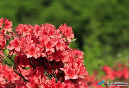 db282a086c4c4ff7b633a502f9cb376a db282a086c4c4ff7b633a502f9cb376a.jpg