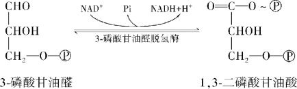 pagenumber_ebook=32,pagenumber_book=26