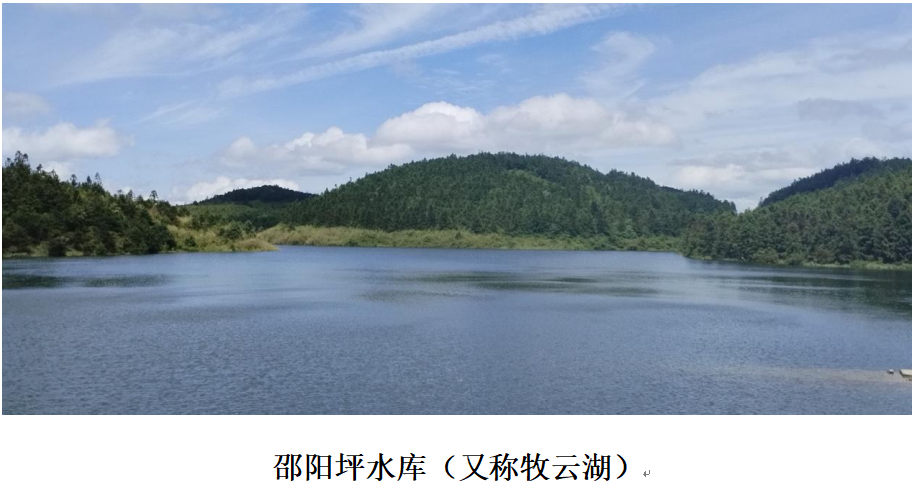 1732261128305 1732261128305.png