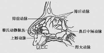 pagenumber_ebook=169,pagenumber_book=156