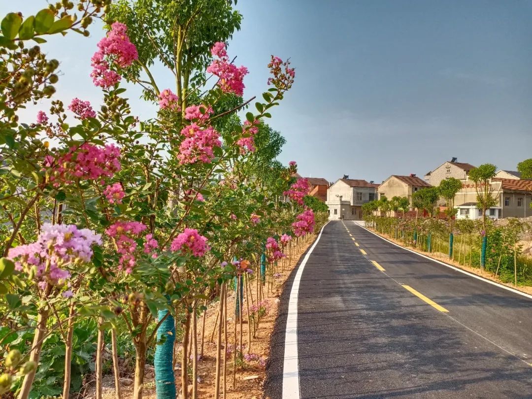 W020200913766062387873 W020200913766062387873.jpeg