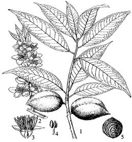 pagenumber_ebook=164,pagenumber_book=164