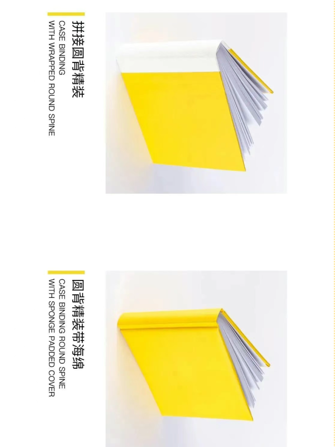 image.png?v=1757830622152