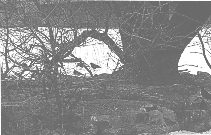 pagenumber_ebook=131,pagenumber_book=128