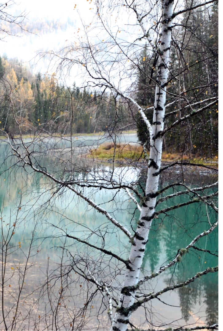 pagenumber_ebook=91,pagenumber_book=80