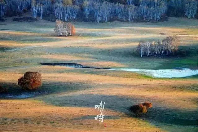 20171115210531_eba1he50mb 20171115210531_eba1he50mb.png?v=1769802864685