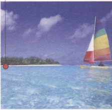 pagenumber_ebook=221,pagenumber_book=213