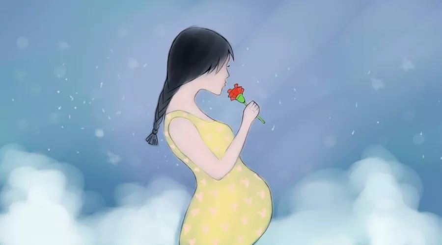 3 3.png?v=1770209570793