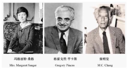 口服避孕药的发明.JPG