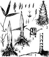 pagenumber_ebook=129,pagenumber_book=129