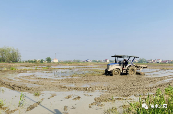 2 2.png?v=1765946374530