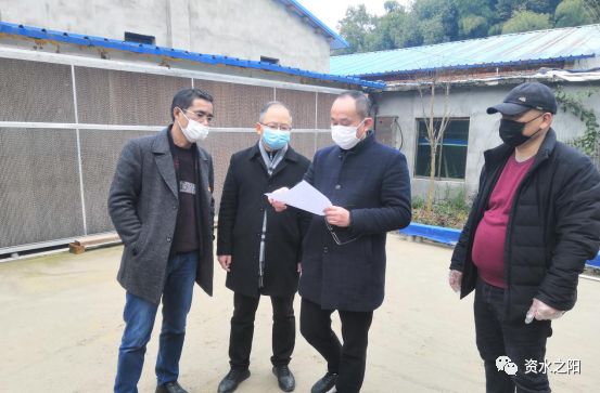 2 2.jpg?v=1765925383300