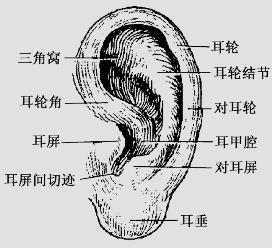 pagenumber_ebook=44,pagenumber_book=31