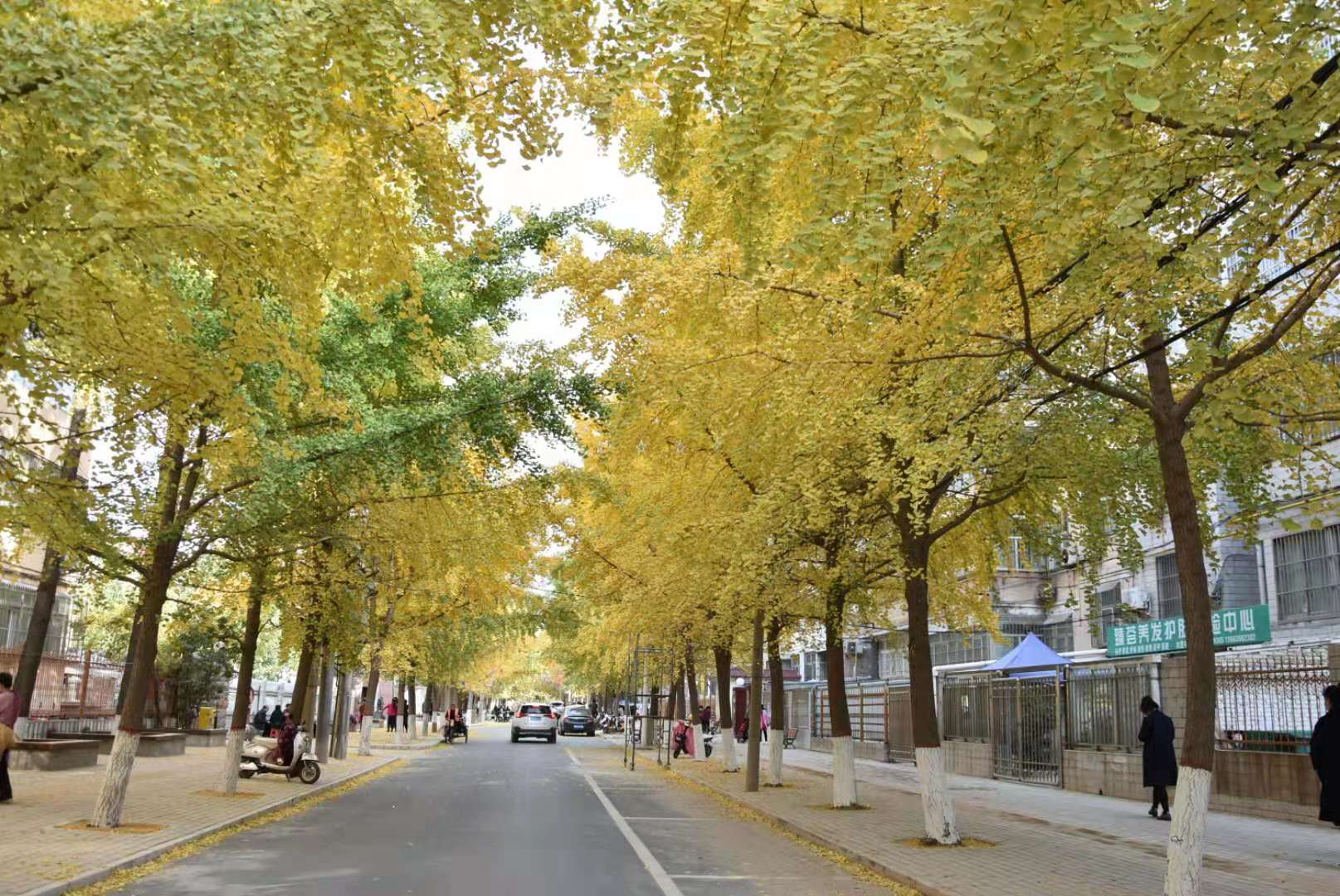 c06f93737045b0c08379a99f3317635