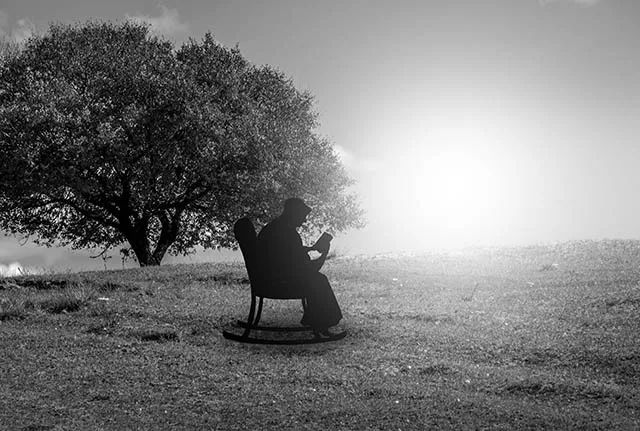 图片5 图片5.png?v=1766528056240