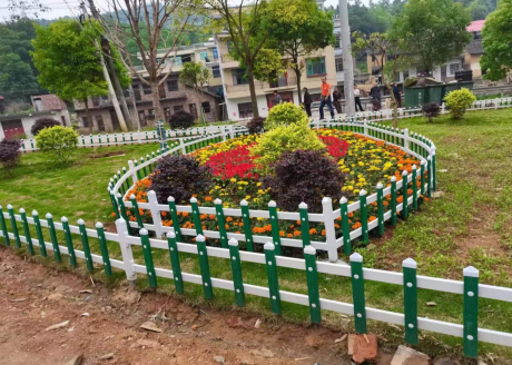 图片 24 图片 24.png