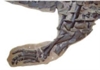 pagenumber_ebook=70,pagenumber_book=59