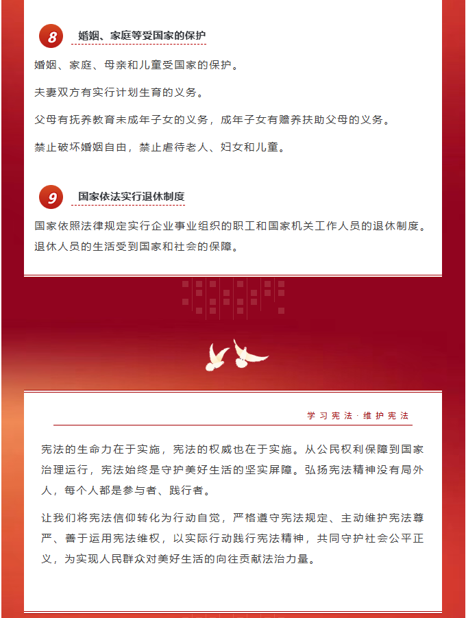 image.png?v=1766278436116