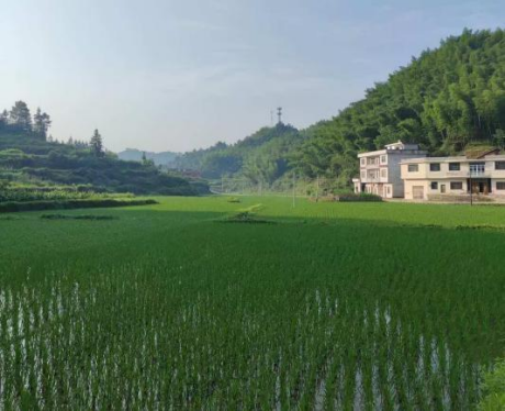 图片 18 图片 18.png