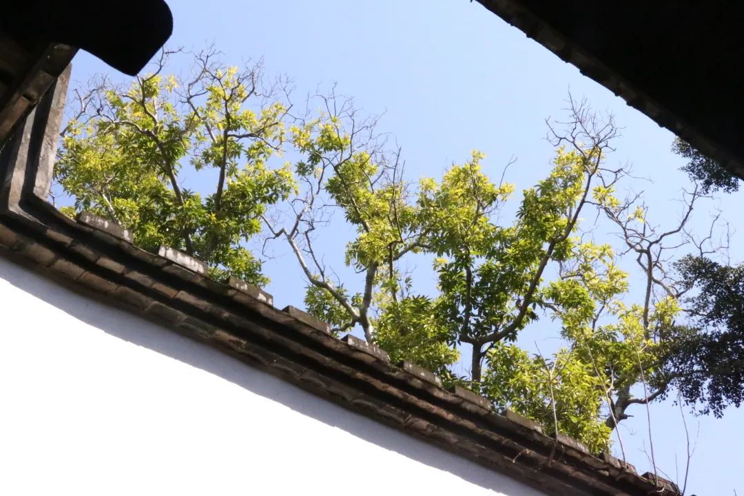 微信图片_20220301141553 微信图片_20220301141553.jpg