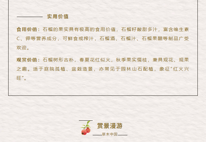 image.png?v=1762073883182