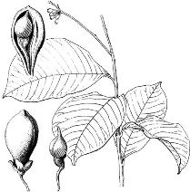 pagenumber_ebook=135,pagenumber_book=135