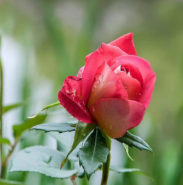 微信图片_20230901143919_1 微信图片_20230901143919_1.jpg