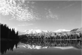 pagenumber_ebook=51,pagenumber_book=41