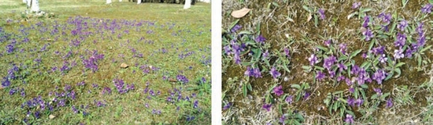 pagenumber_ebook=145,pagenumber_book=137