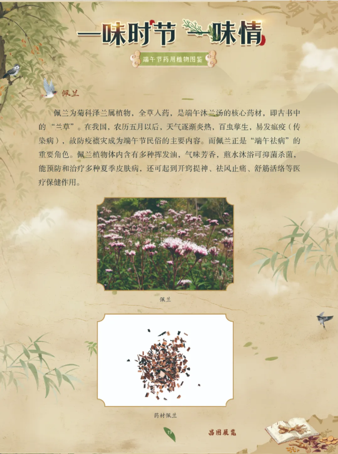 image.png?v=1782174181266