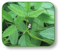 pagenumber_ebook=36,pagenumber_book=23