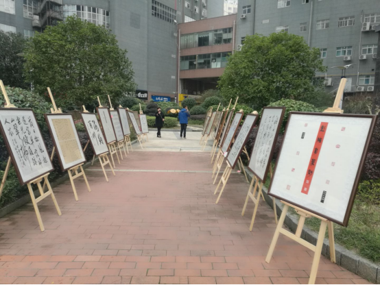 image image.png?v=1775289396301