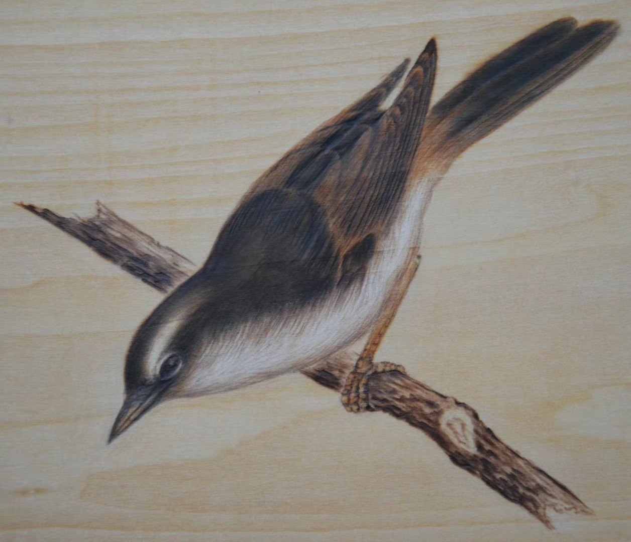 mmexport1564623816426