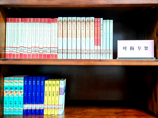 image image.png?v=1763201842089