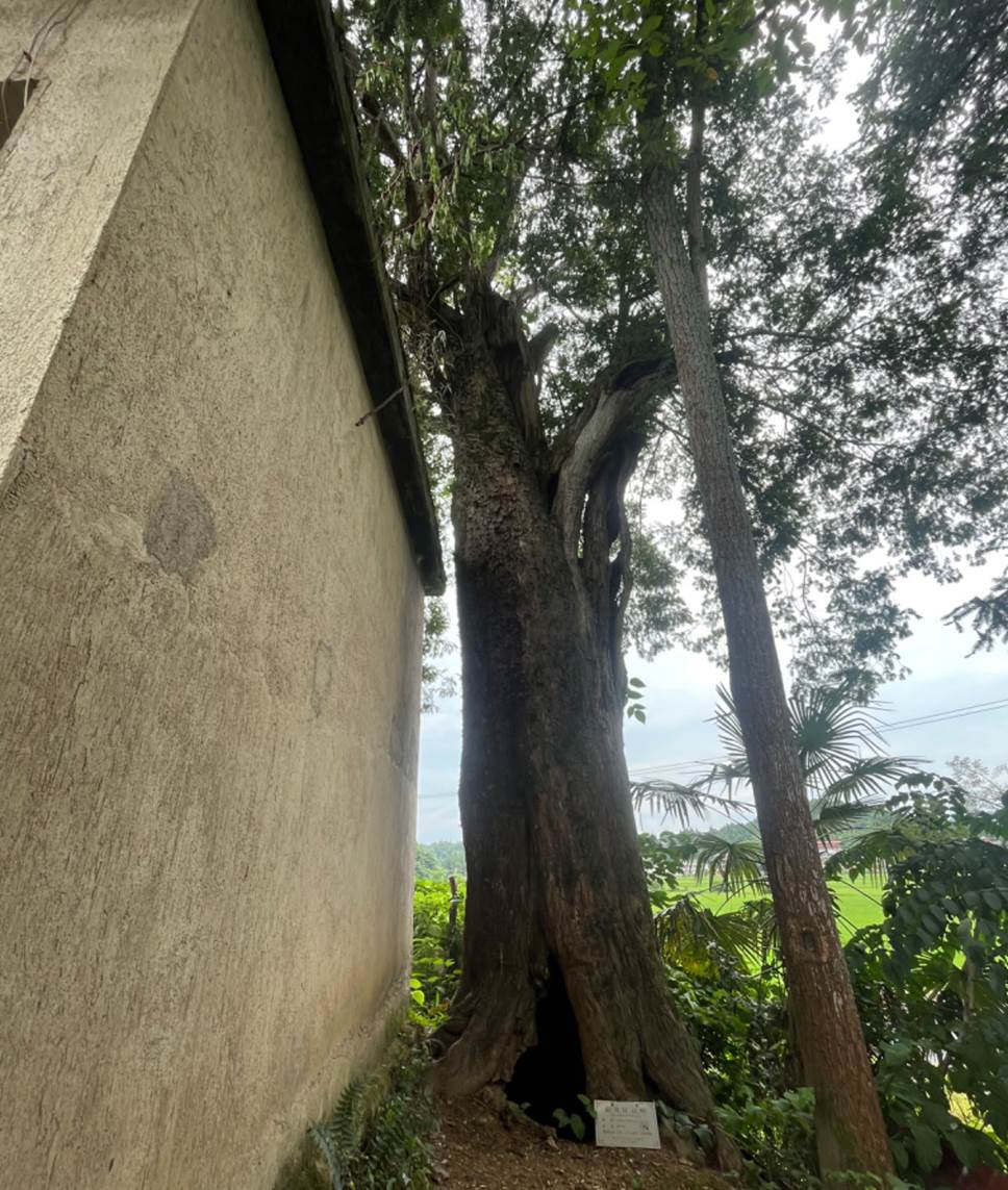 image012 image012.jpg