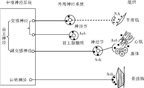 pagenumber_ebook=42,pagenumber_book=42