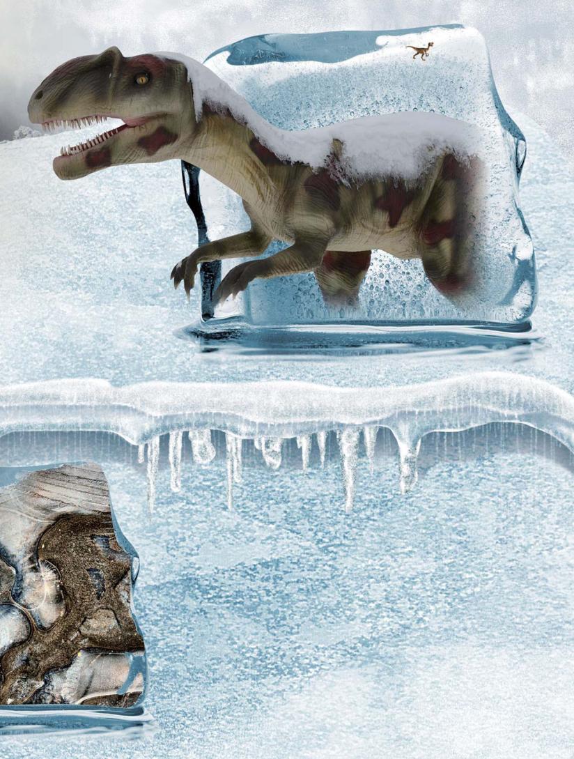 pagenumber_ebook=26,pagenumber_book=15