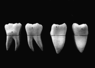 pagenumber_ebook=215,pagenumber_book=206