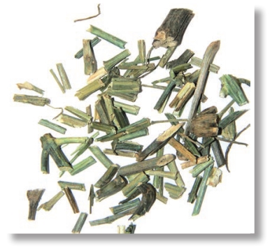 pagenumber_ebook=57,pagenumber_book=44