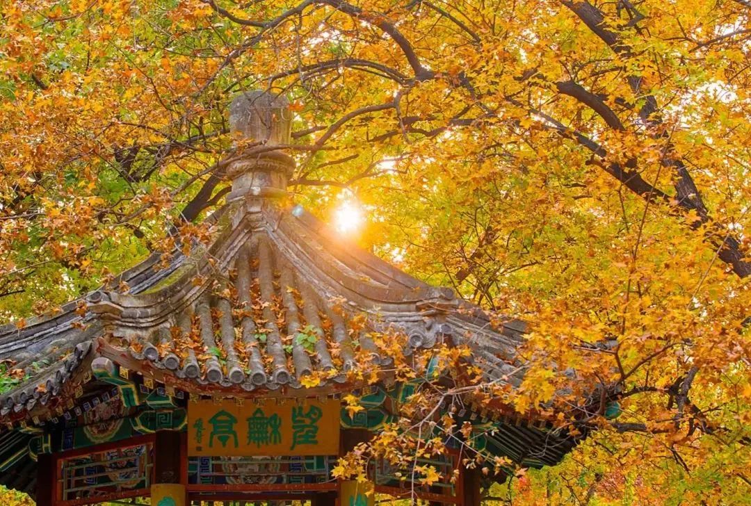 de147c7370123deba20a5a73ee8adfc3 de147c7370123deba20a5a73ee8adfc3.jpg