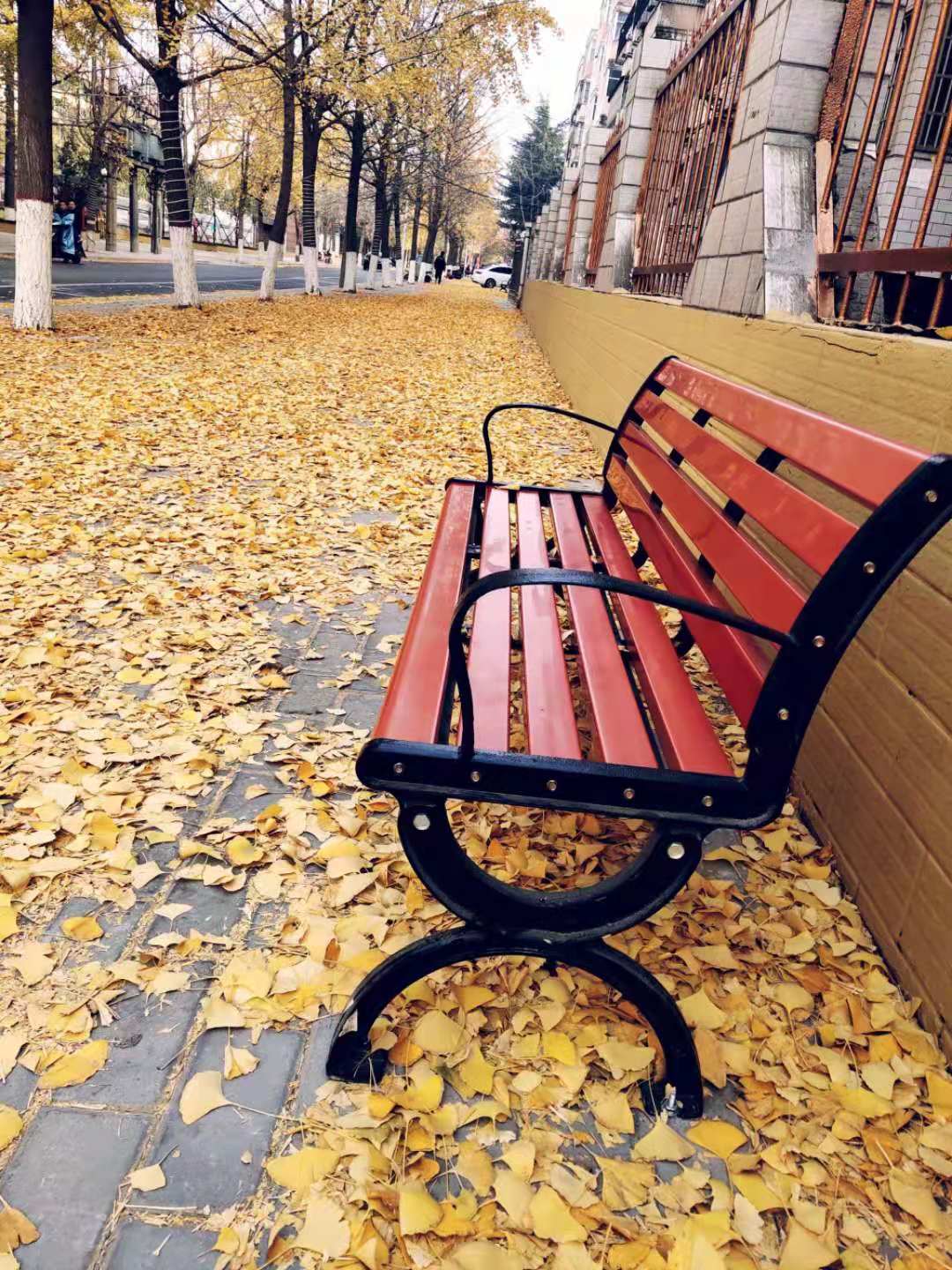 100653357952469cc5aebebbaedb2db