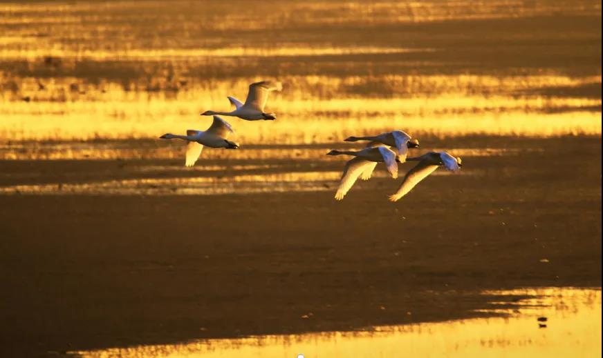 微信图片_20211222112557 微信图片_20211222112557.jpg