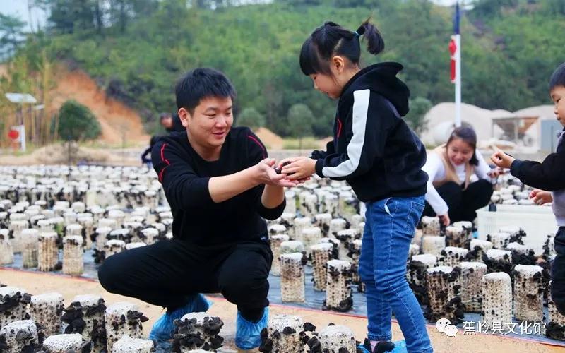 14 14.jpg?v=1765891042459