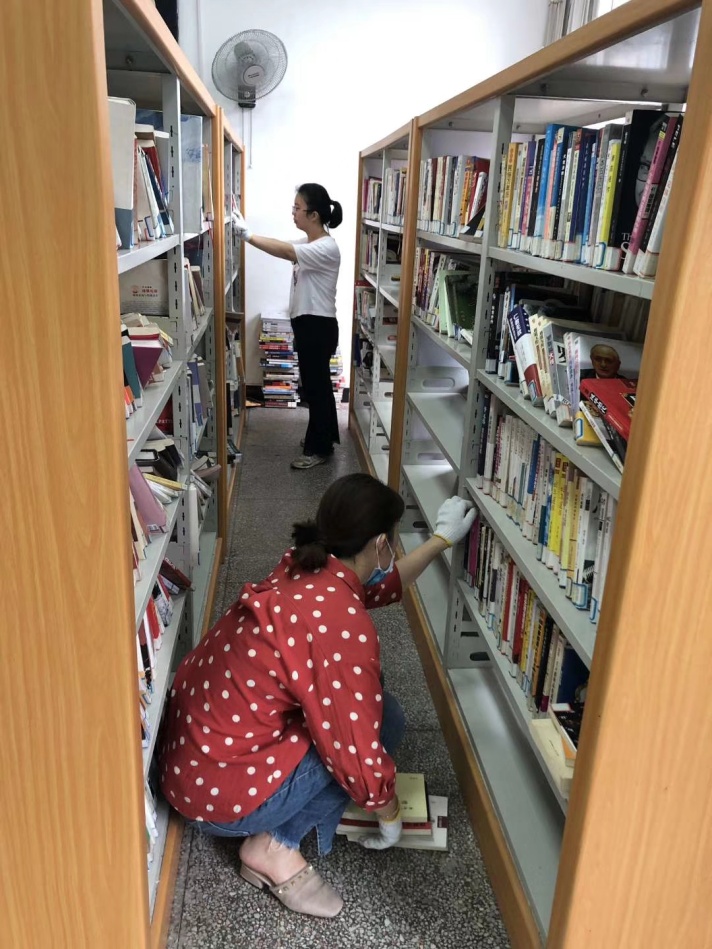 2019062640865361 2019062640865361.jpg?v=1764816252384