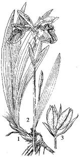 pagenumber_ebook=212,pagenumber_book=212