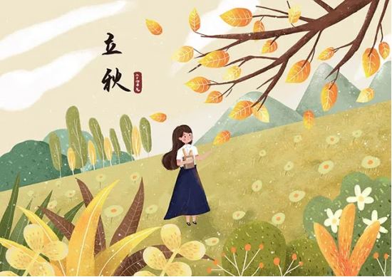 image image.png?v=1770190989522